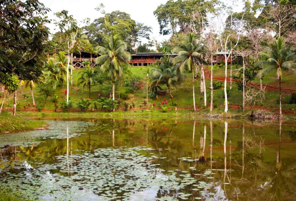 Stadtbesichtigung San José & Start der Mietwagentour Richtung Boca Tapada